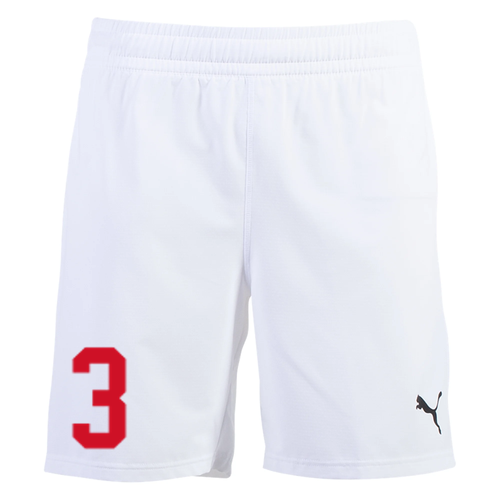 PUMA GUNNERS TEAM FINAL SHORTS - WHITE