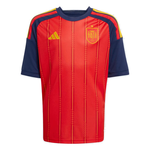 Spain National Soccer Team
