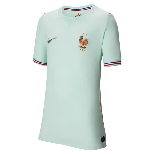 France National Soccer Team