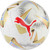 Puma Copa America 24 Final Pro Ball
