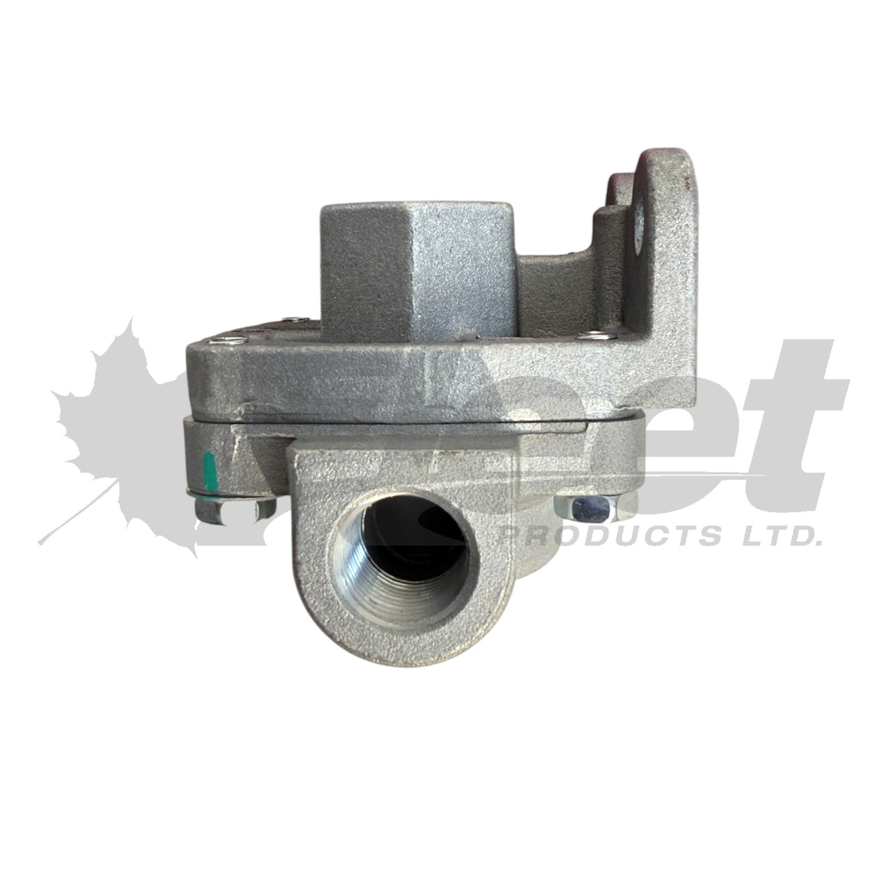 229860-G | Quick Release Valve (QR-1 Valve)