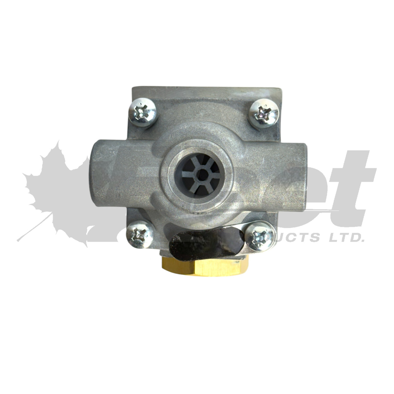 289714-G | Quick Release/check Valve (QR-1C Valve)