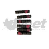 Q995582 2-speed Drivemaster major repair kit with air cartridge, 995550 bearing, face seal - rebuild Horton fan clutches