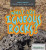 What Are Igneous Rocks? by Elisa Peters, 9781508100478