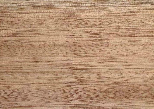 Canterbury Timber Buy Timber Online  MERANTI MAPLE DAR 240 x 31 - Per Metre MD25038