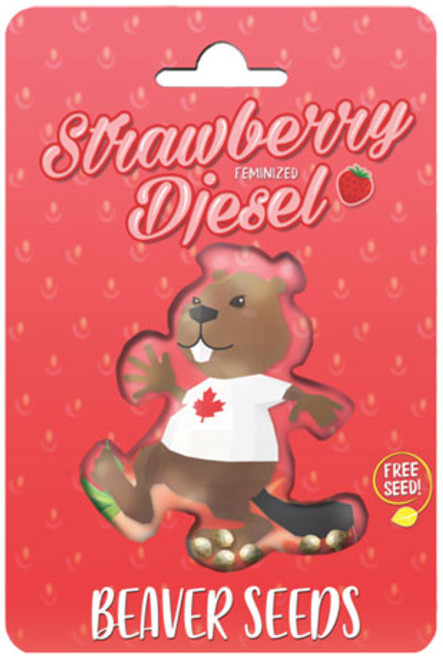 Strawberry Diesel Feminized-6pck