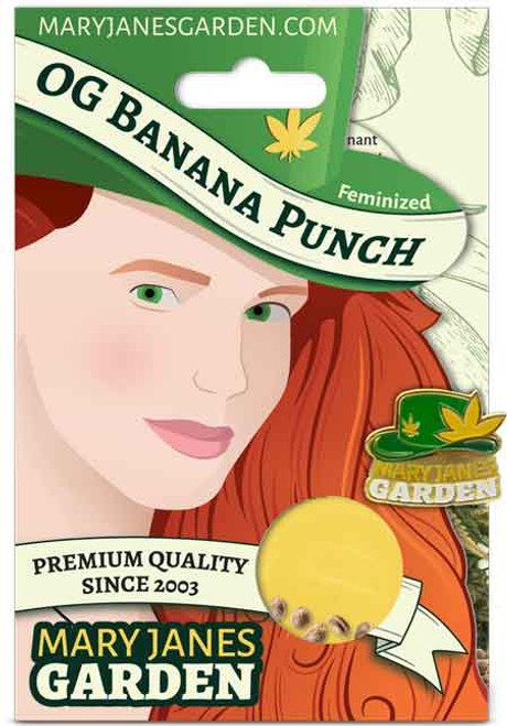 OG Banana Punch Feminized-5pck