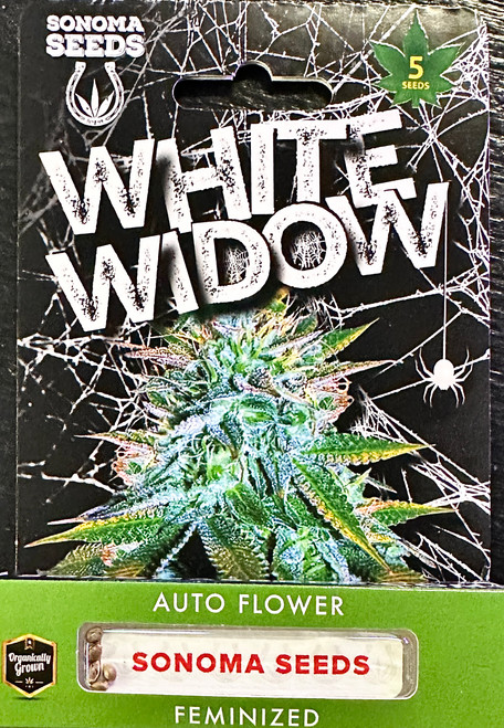 White Widow Auto Feminized-5pck