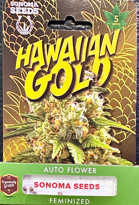 Hawaiian Gold Auto Feminized-5pck