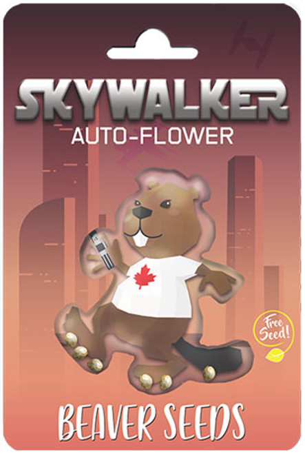 Skywalker Autoflower-5pck