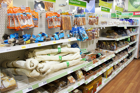 Creative Pet Shop Display Ideas To Boost Engagement