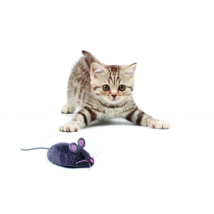 Hexbug 480-3031 Mouse Cat Toy (Gray)