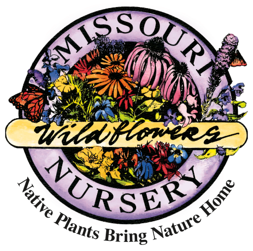 Plants for Birds Missouri Wildflowers Nursery