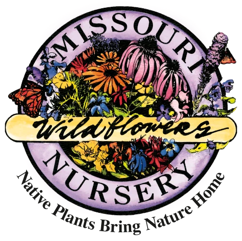 Forest Wildflowers Missouri Wildflowers Nursery forest-wildflowers-missouri-wildflowers-nursery