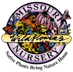 Missouri Wildflowers Nursery