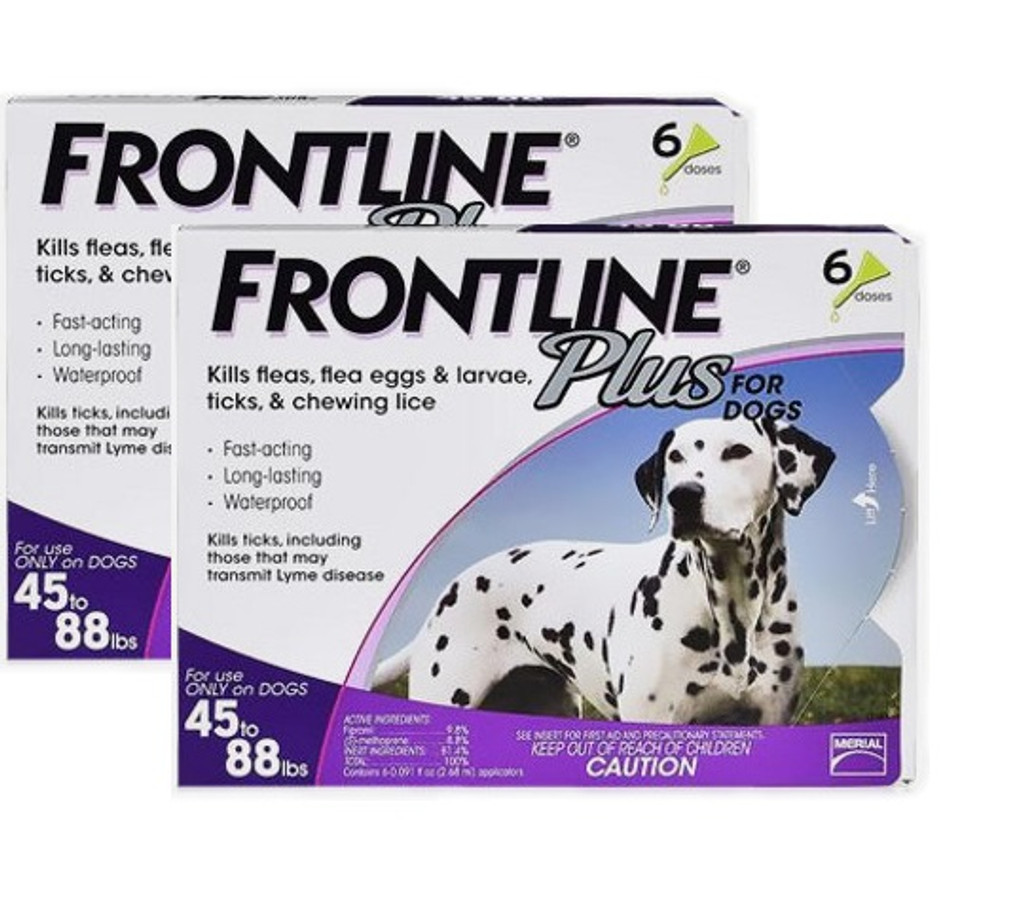 frontline plus purple