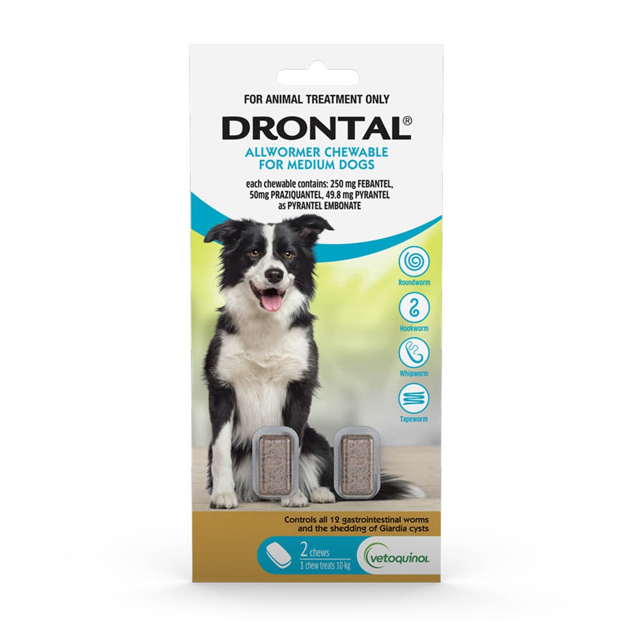 Drontal Allwormer Chews for Dogs up to 22 lbs (up to 10 kg) - 2 Chews