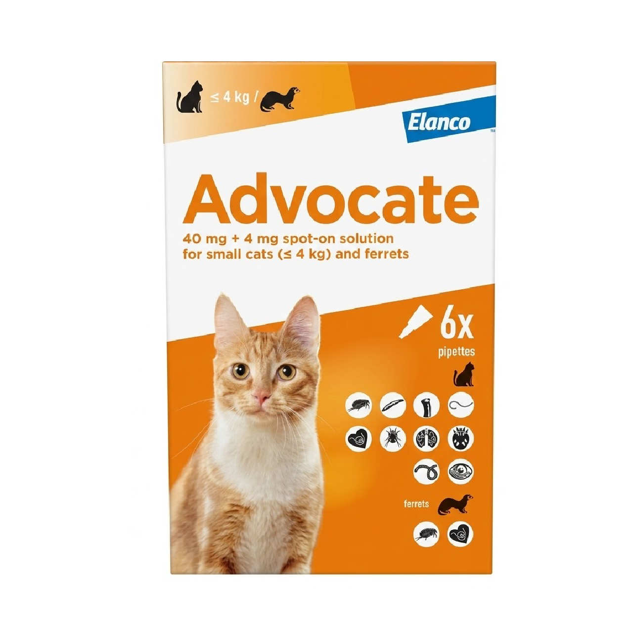 Advocate_Cat_Spot-