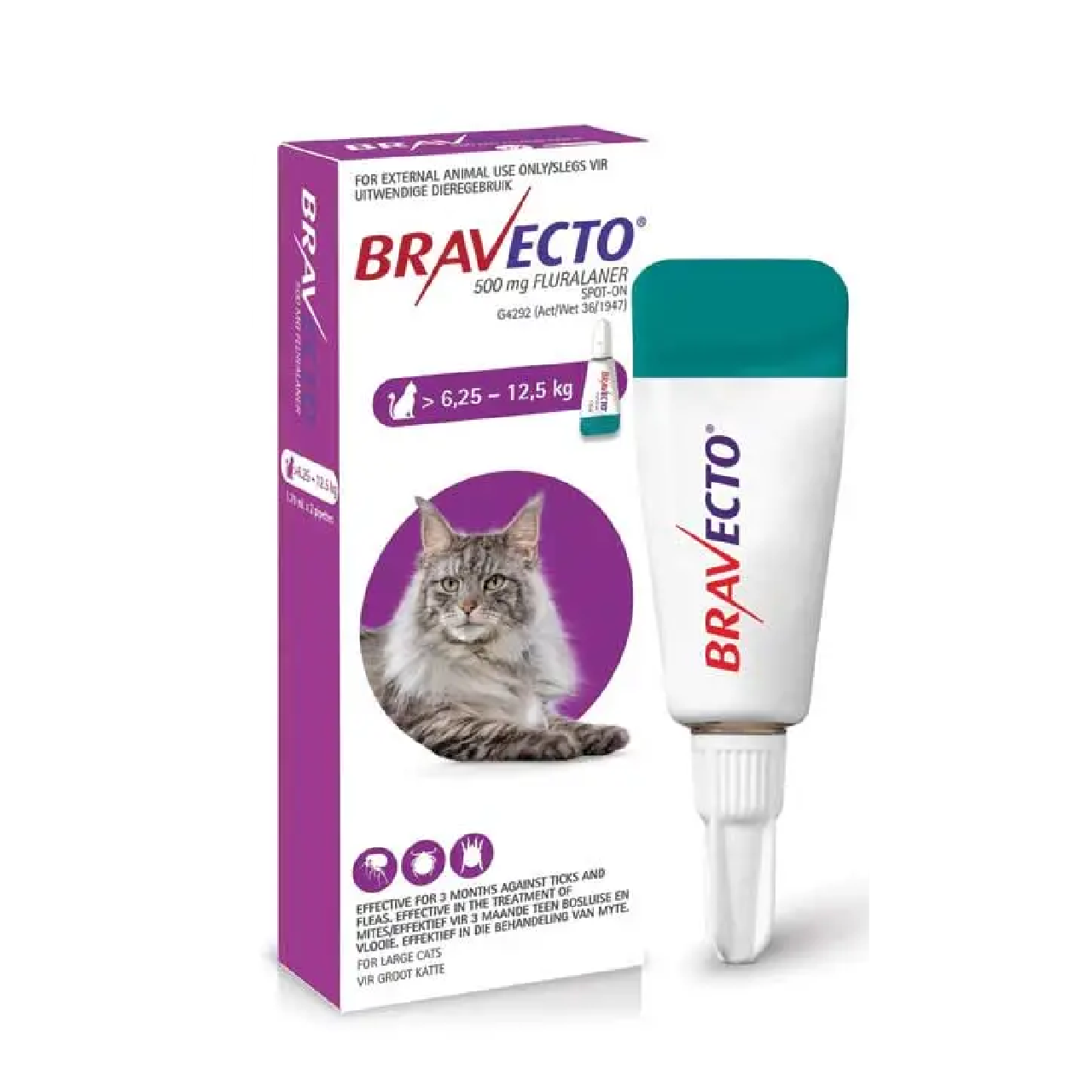Bravecto Topical Solution for Cats lbs kg