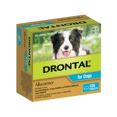 Drontal Allwormer Tablets for Medium Dogs up to 22 lbs (10 kg