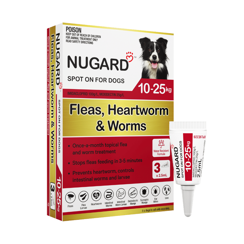 Dogs 10 Heartworm Flea Advocate Fleas Heartworm Prevention For