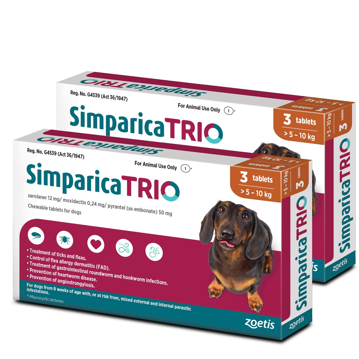 Collare Cane Militare In Nylon - Regolabile 45-53cm, Con Maniglia, Per Addestramento Media/Grande Taglia - Foto 3