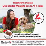 Heartgard Plus Masticables para perros de 12-22 kg (26-50 lbs) - Verde 12 masticables