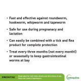 Drontal Allwormer Tablets for Small Dogs and Puppies up to 6.5 lbs (up to 3 kg) - 4 Tablets