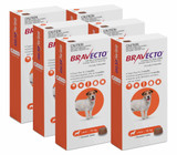 20% Off Bravecto Flea and Tick Chew for Dogs 9.9-22 lbs (4.5-10 kg) - Orange 6 Chews Now Only $ 188.01