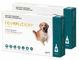 20% korting op Revolution for Dogs 40.1-85 lbs (20.1-40 kg) - Teal 12 Doses Nu slechts $ 212,69