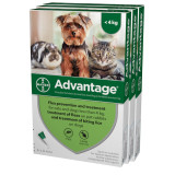 20% di sconto Advantage per cani e gatti di piccola taglia fino a 4 kg - Verde 12 dosi Ora solo $ 62,03