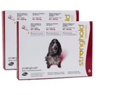Stronghold for Dogs 20.1-40 lbs (10.1-20 kg) - Red 12 Doses
