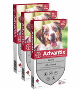 Advantix לכלבים 10.1-25 ק"ג (20-55 ליברות) - אדום 12 מנות (10/2025 תפוגה)