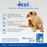 Nexgard Spectra Chews for Dogs 8.1-16 lbs (3.6-7.5 kg) - Yellow 3 Chews