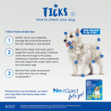 Nexgard Spectra Chews für Hunde 8.1-16 lbs (3.6-7.5 kg) - Gelb 6 Kausnacks