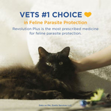 Revolution PLUS für große Katzen 11.1-22 lbs (5-10 kg) - Grün 6 Dosen
