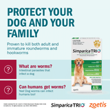 Simparica TRIO Chews per cani 44-88 lbs (20,1-40 kg) - Verde 6 Chews