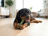 Dog Dental Chews That Actually Work: A Buyer's Guide