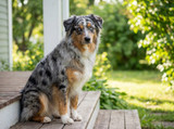 Are Flea and Tick Preventatives Still Effective in 2025