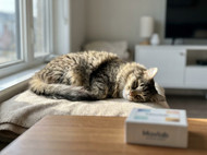Mavlab Flea, Tick, and Heartworm Prevention Review: What to Know Before You Buy