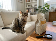 How to Read Pet Food Labels Like a Pro (and Actually Know What You’re Buying)