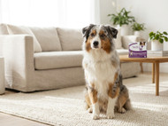 Vectra 3D Products: A Complete Buyer’s Guide