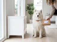 Why Canex Is a Popular Choice for Pet Owners