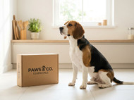 Why NuGuard Is a Popular Choice for Pet Owners