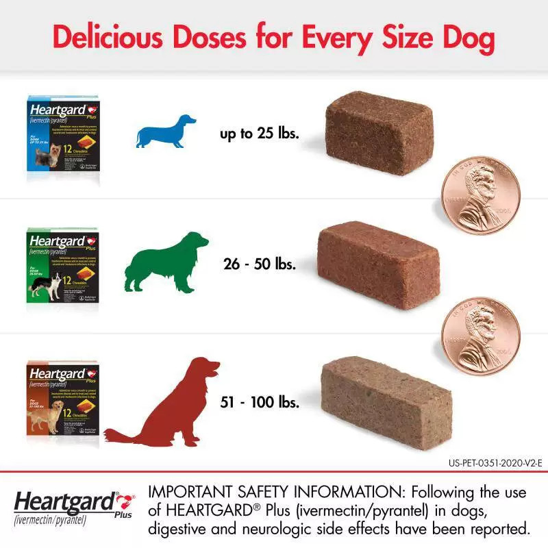20% Off Heartgard Plus Chewables for Dogs 51-100 lbs (23-45 kg) - Brown 6 Chews Now Only $ 36.86