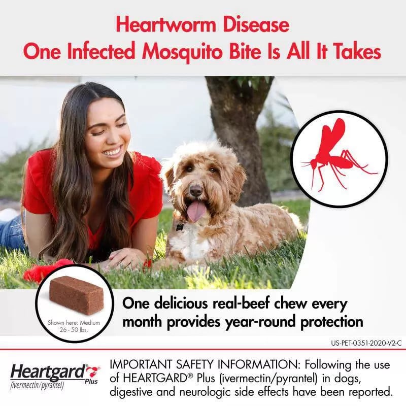 20% Off Heartgard Plus Chewables for Dogs 51-100 lbs (23-45 kg) - Brown 6 Chews Now Only $ 36.86