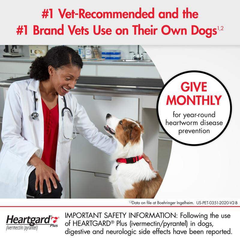 20% Off Heartgard Plus Chewables for Dogs 51-100 lbs (23-45 kg) - Brown 6 Chews Now Only $ 36.86