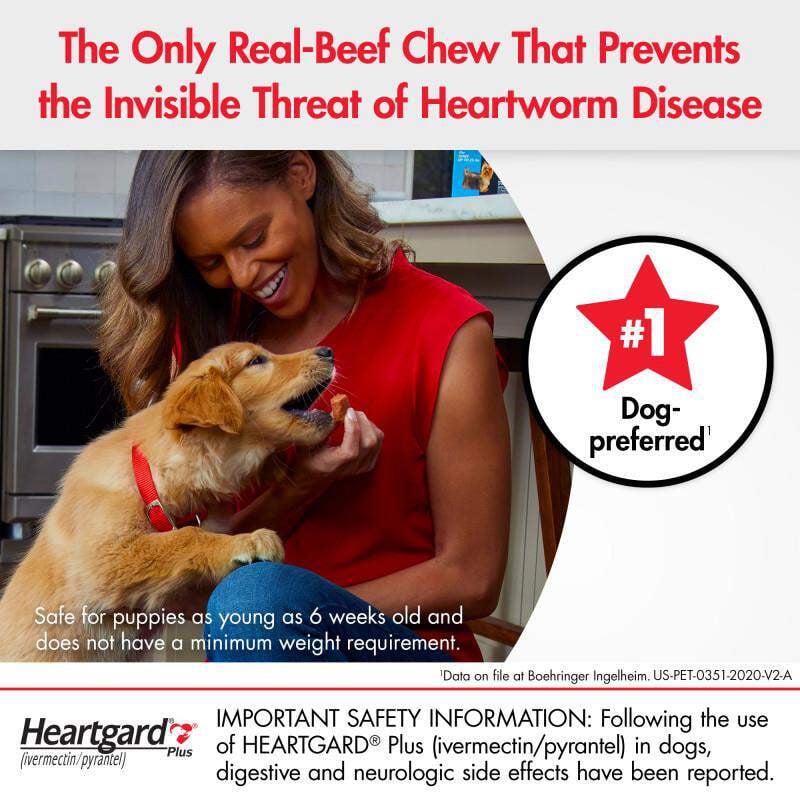 20% Off Heartgard Plus Chewables for Dogs 26-50 lbs (12-22 kg) - Green 6 Chews Now Only $ 34.46