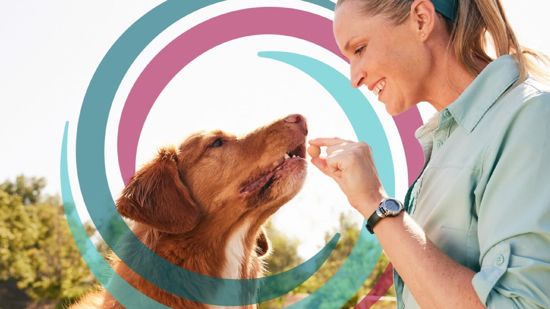 Protecting Pets from Parasites: A Guide to Fleas, Ticks, Worms & More