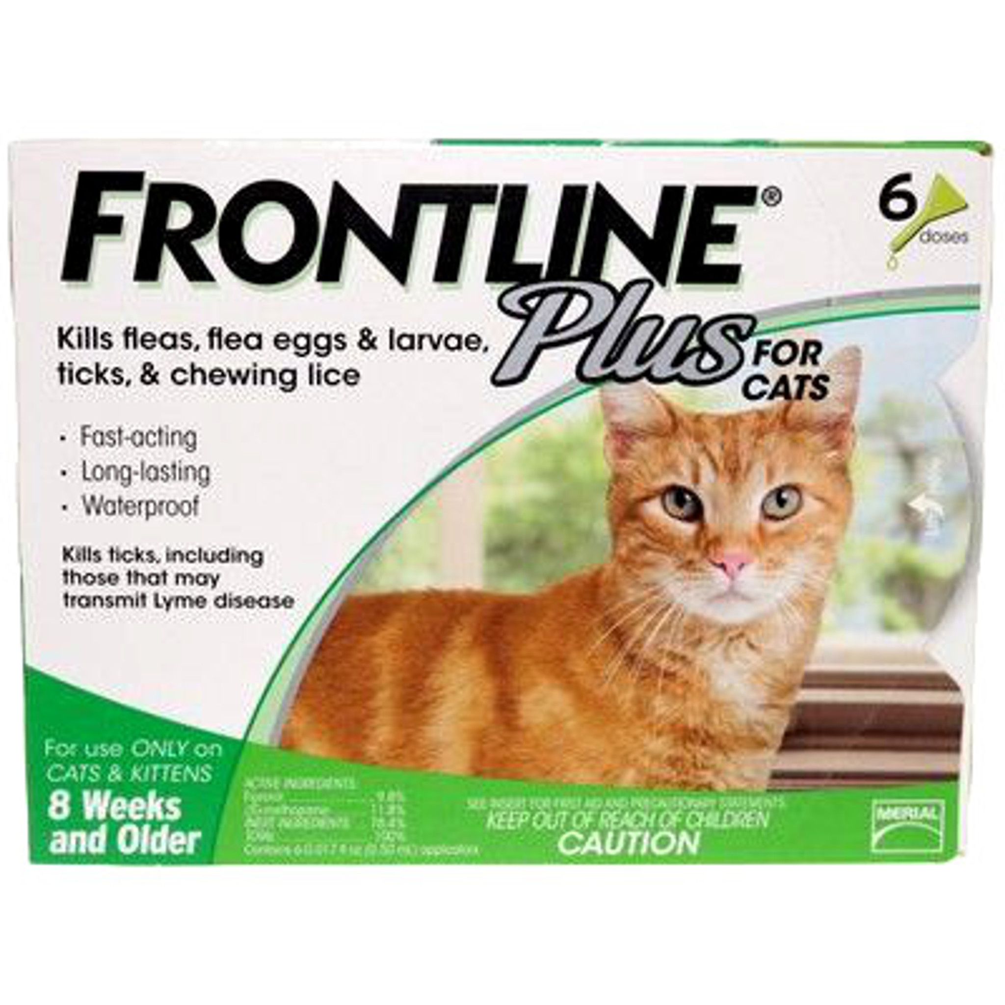 Fitness tint Bedrog Frontline Plus for Cats Green 6 Doses | Sierra Pet Meds